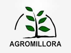 Agromillora Fidan