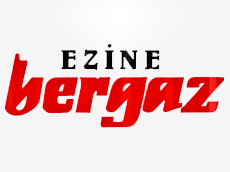 Bergaz Süt