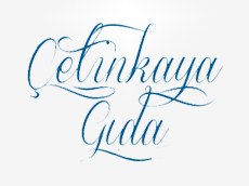 Çetinkaya Gıda