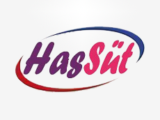 Has Süt
