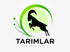 Tarımlar Tarım
